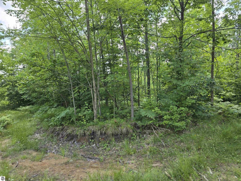 Picture 21