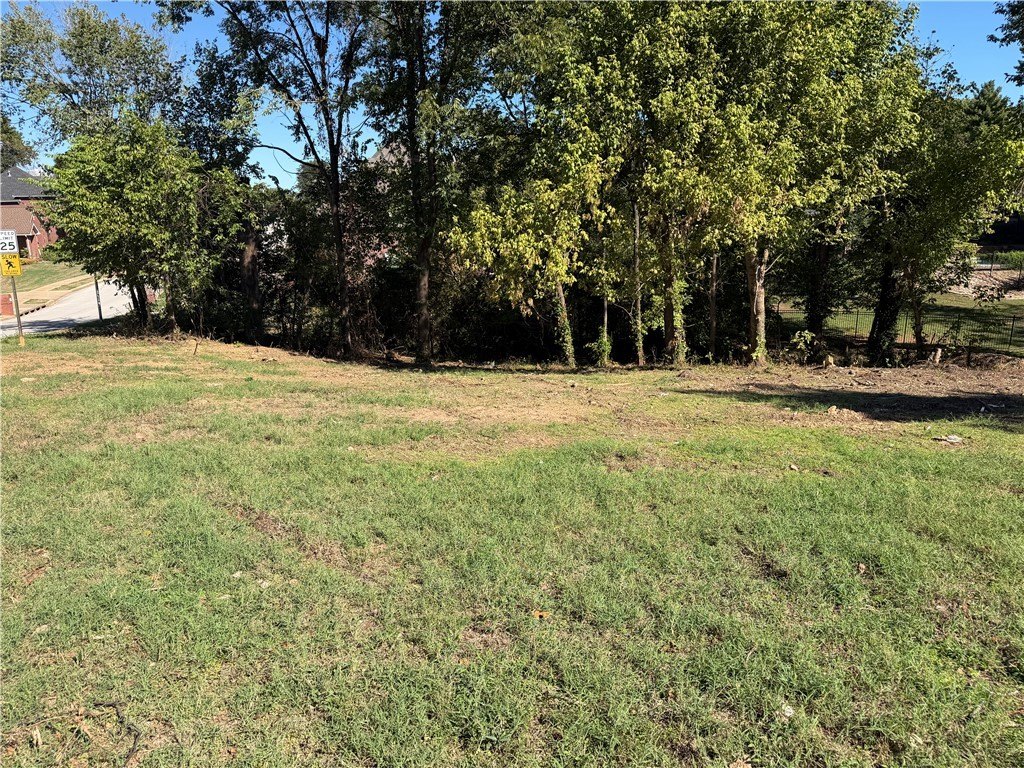 Picture 14