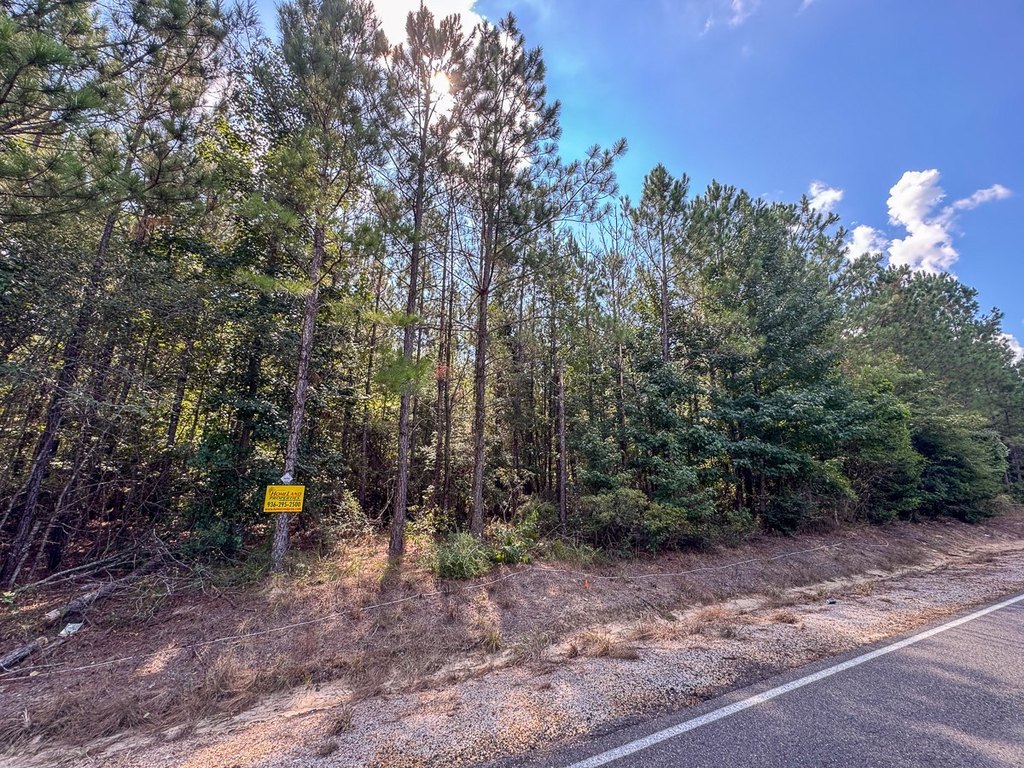Picture 16