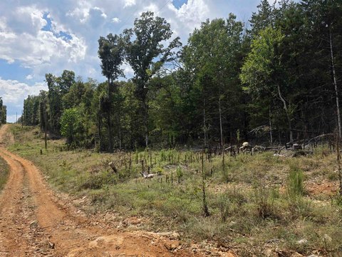 Vacant Land, Hardy, AR
