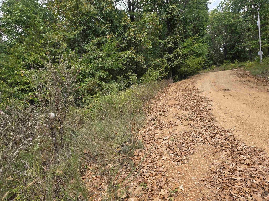 Picture 10
