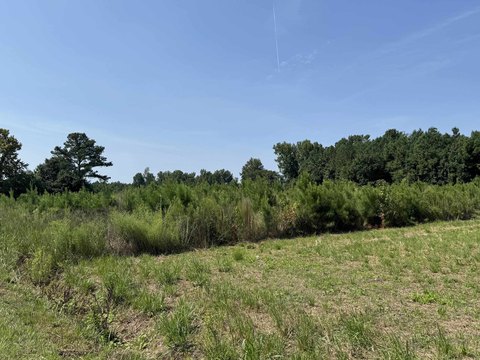 LAND - Nichols, SC