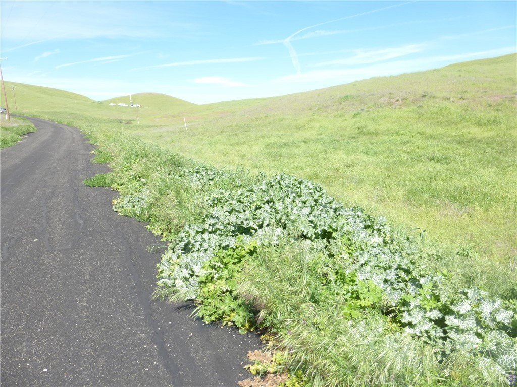 Picture 26