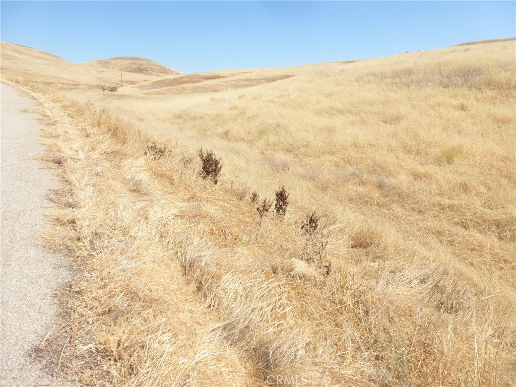 Picture 34