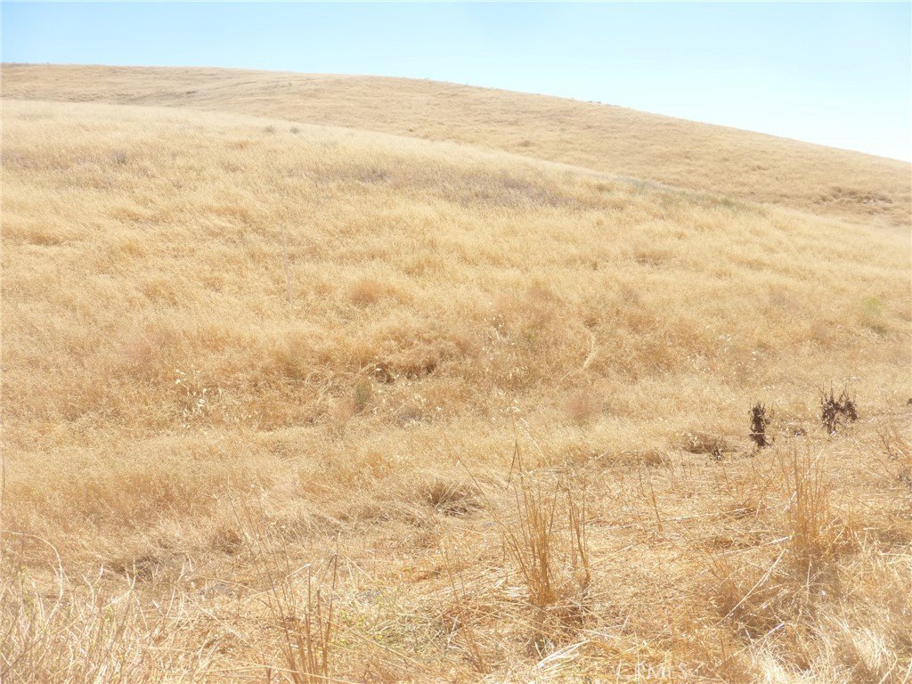 Picture 31