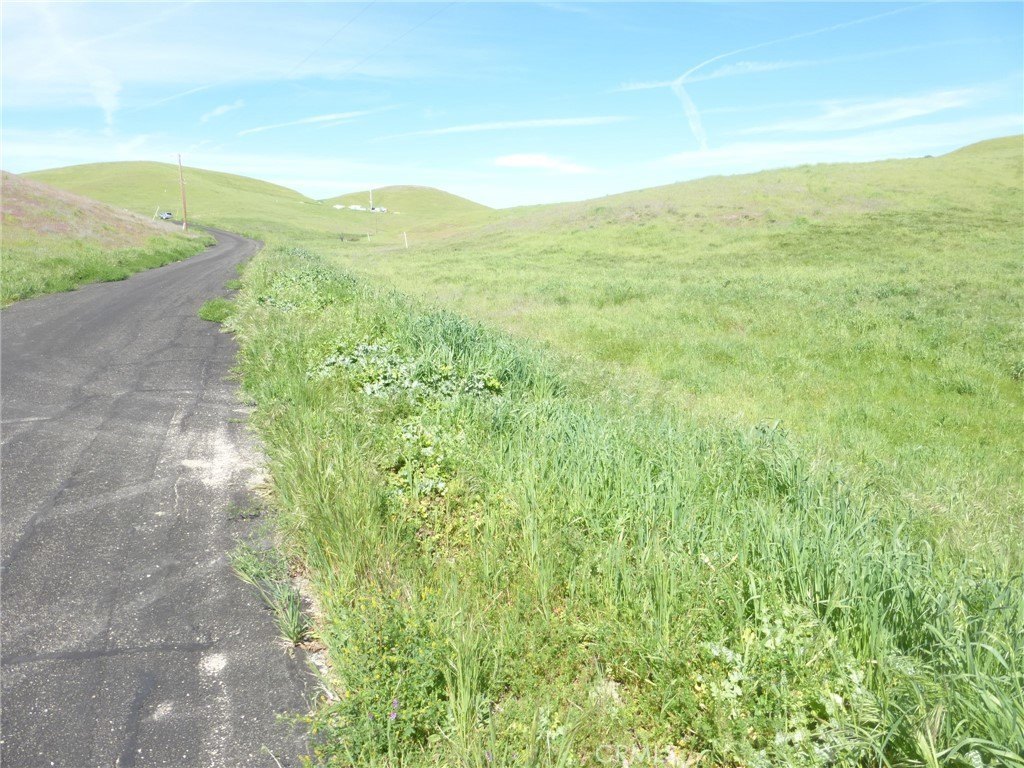 Picture 23