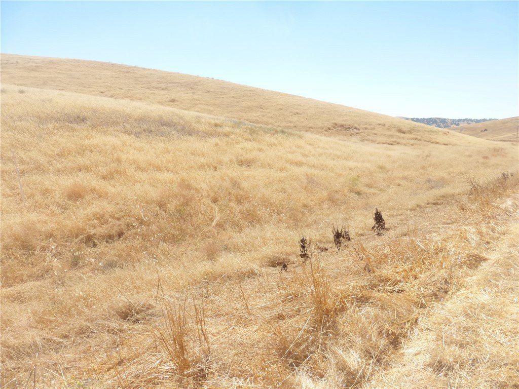 Picture 32