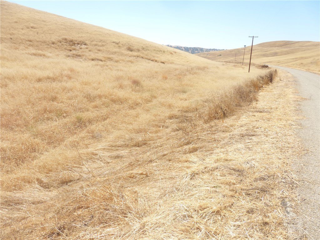 Picture 37