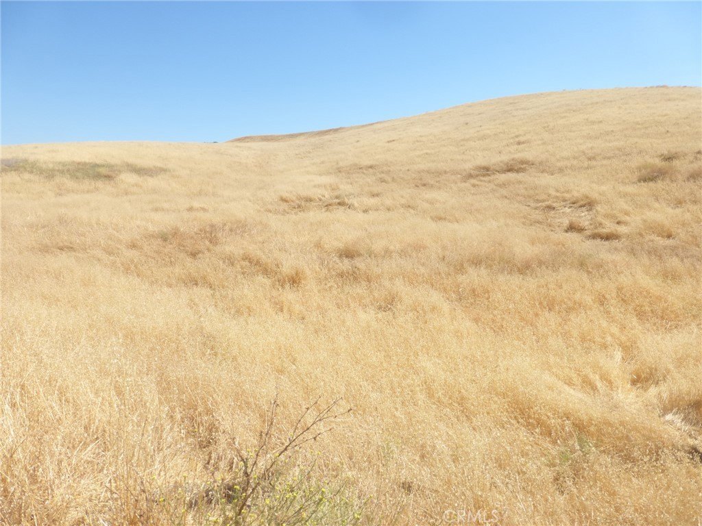 Picture 41