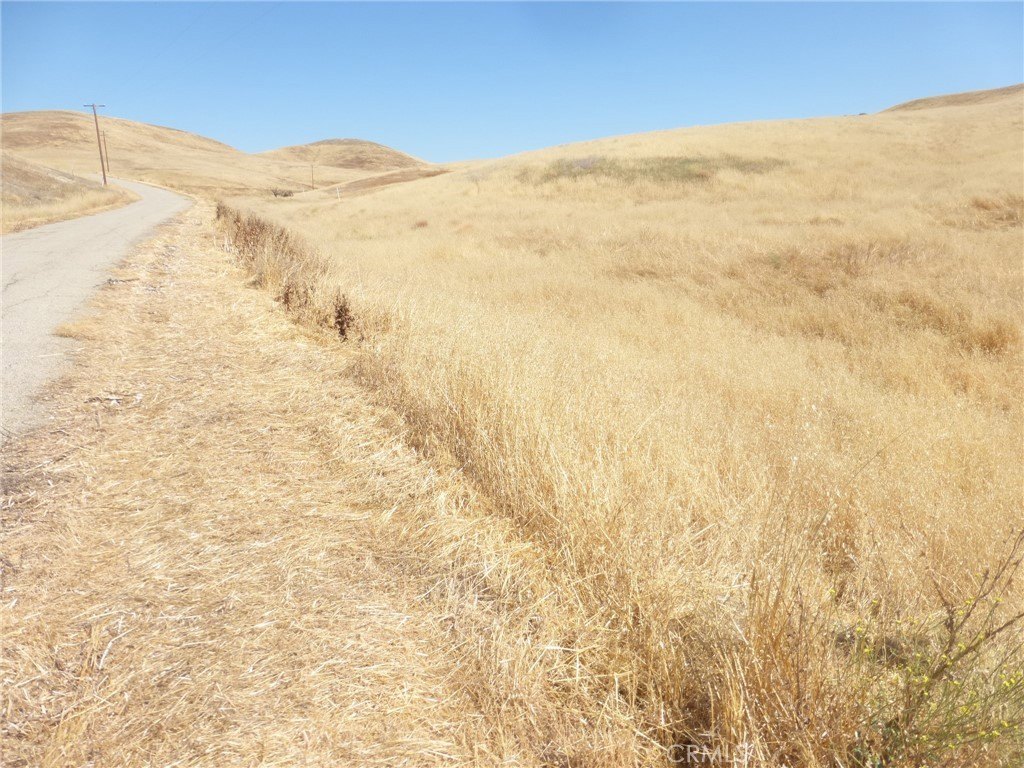 Picture 39