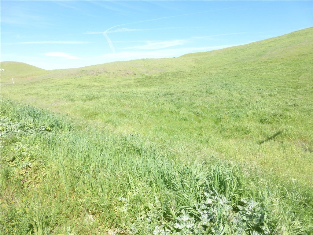 Picture 22