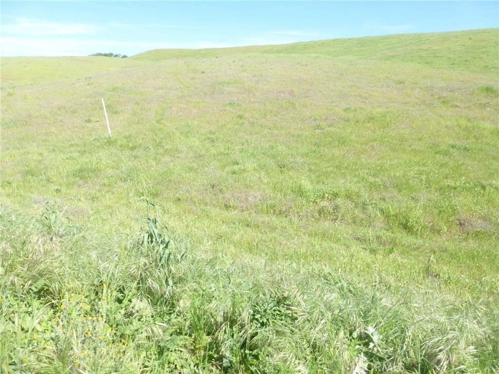 Picture 27