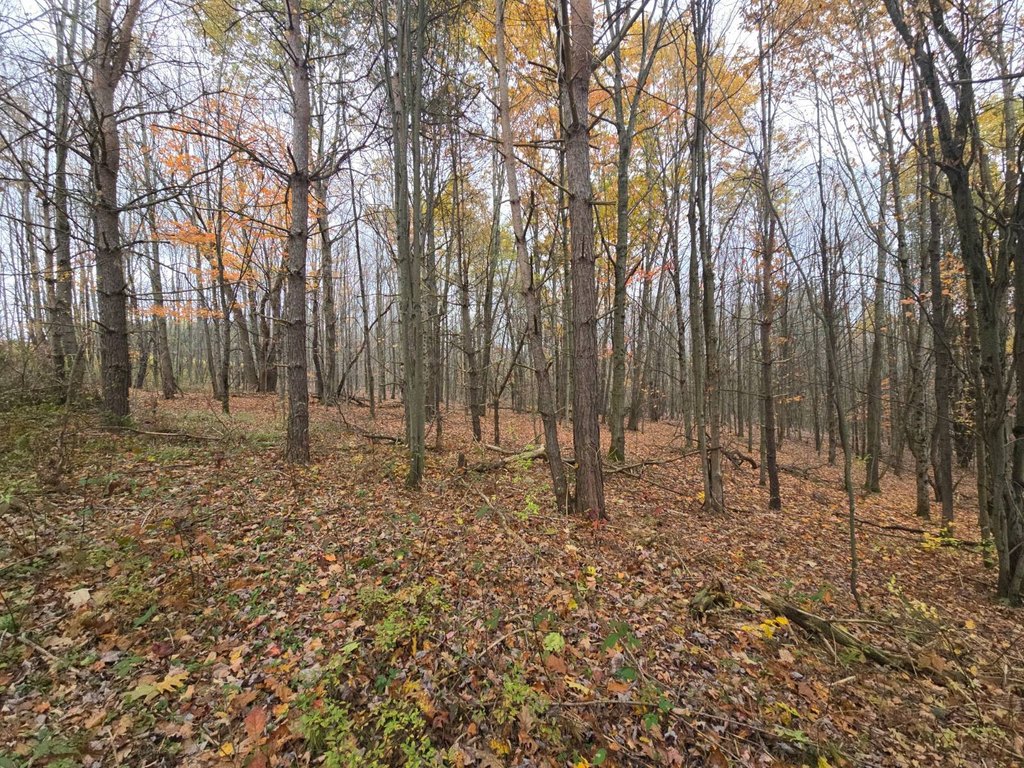 Picture 24