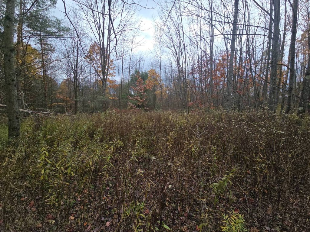 Picture 22