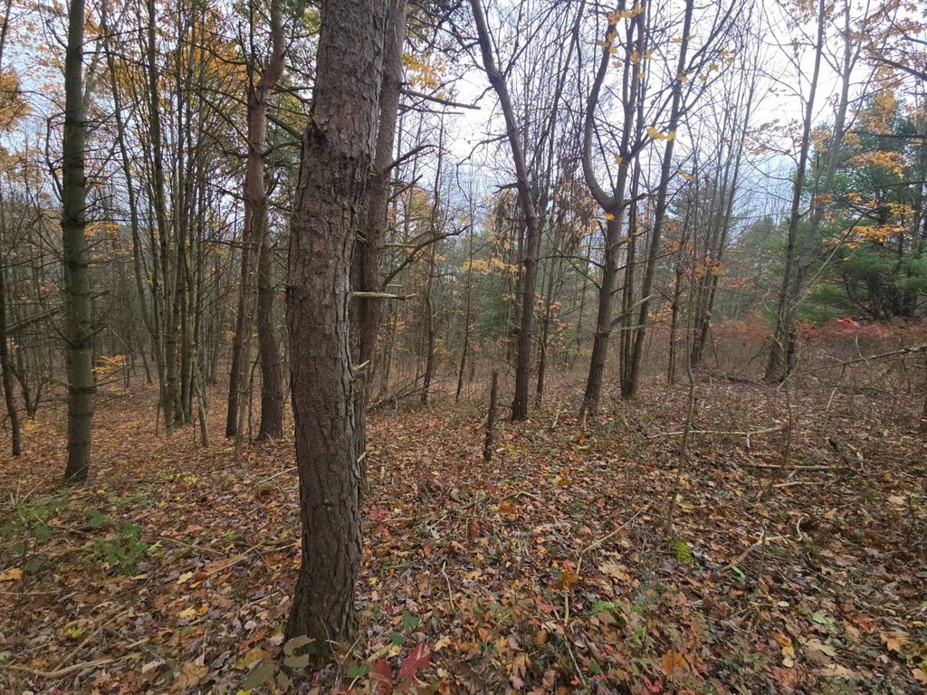 Picture 25