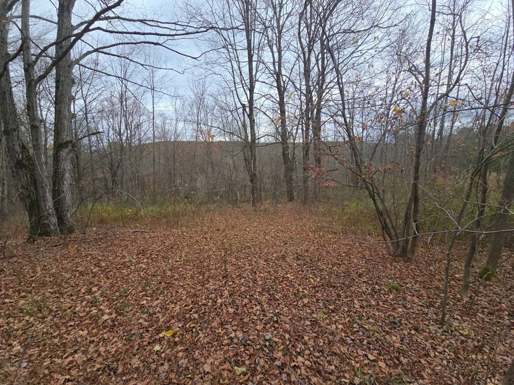 Picture 30