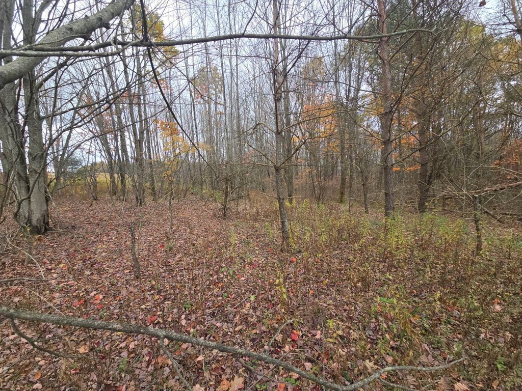 Picture 23