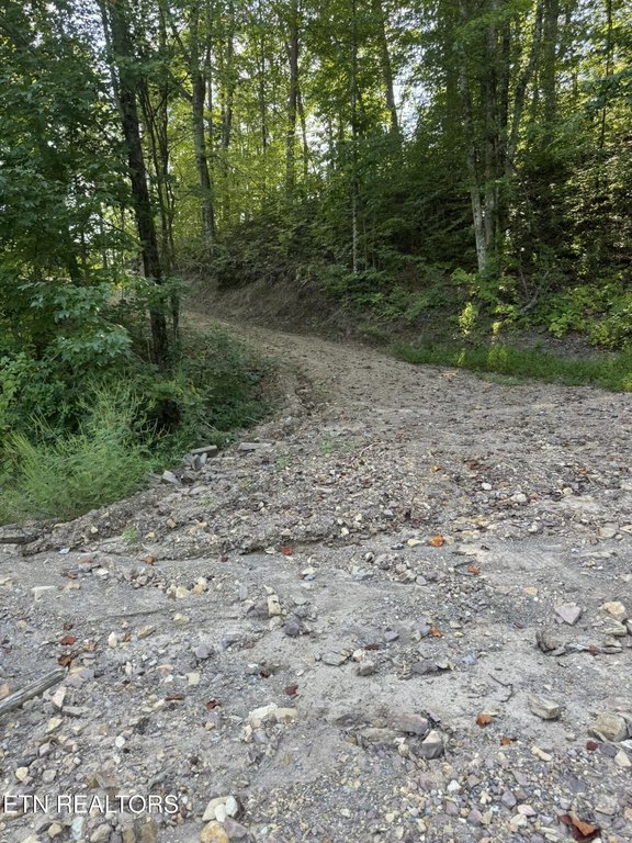 Picture 13