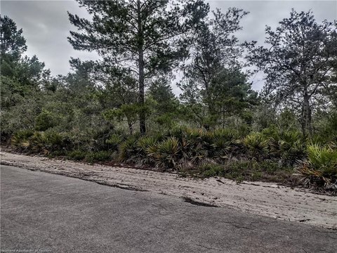 Land, Lake Placid, FL