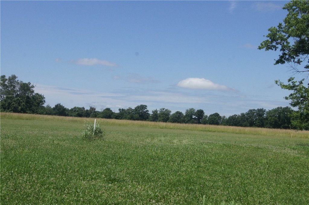 Picture 8