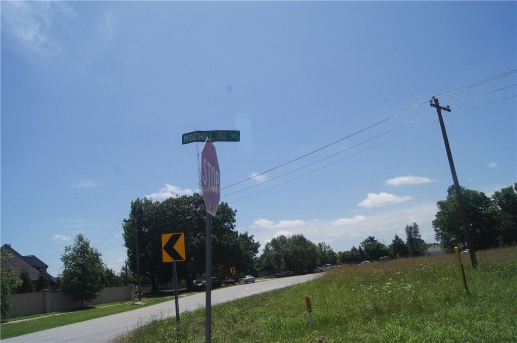 Picture 3