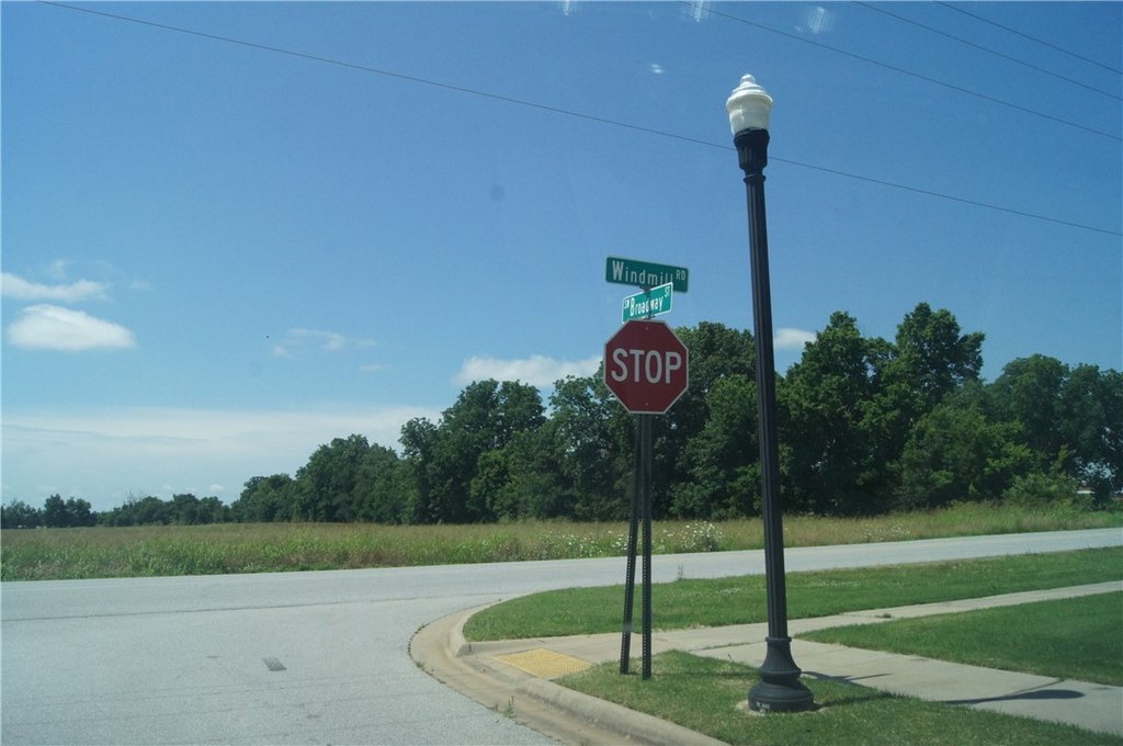 Picture 4