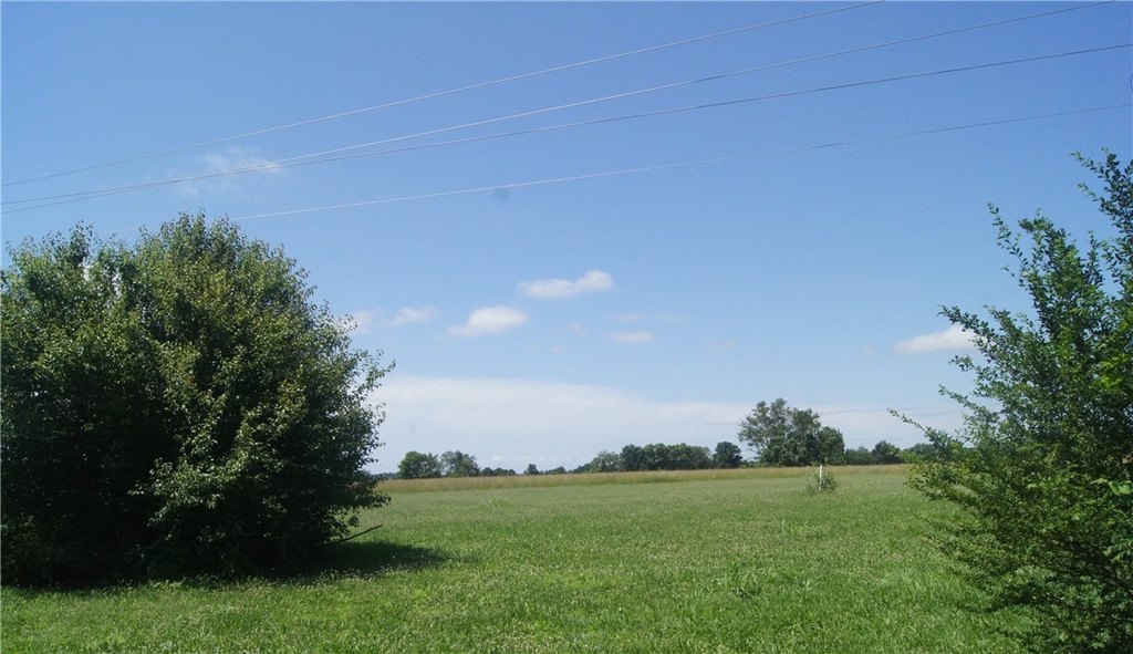 Picture 9