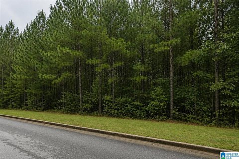 Residential Homesite Lot