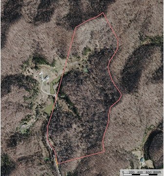 Wooded Hunting Tract with Road Frontage