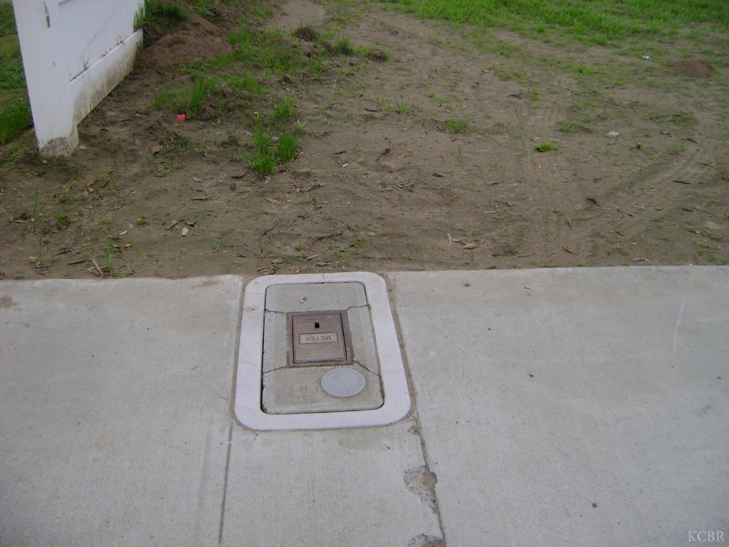 Picture 5