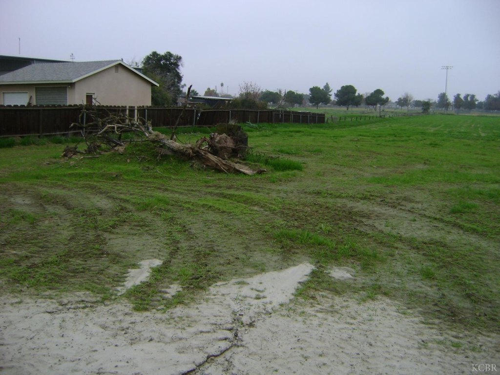 Picture 4