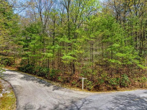 Lake Toxaway Land with Mountain View