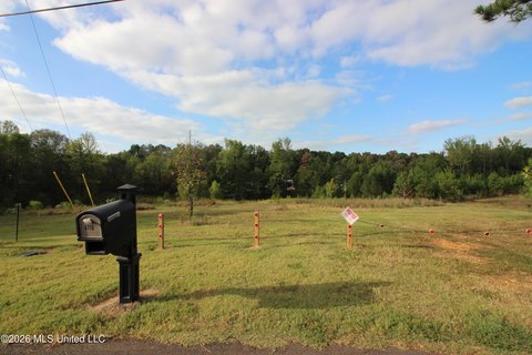 Agricultural Land with Lot-Split Potential