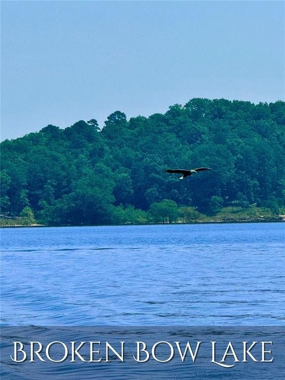 Picture 11