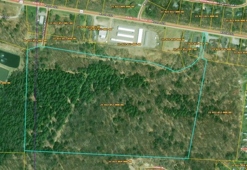54 Acres of Wood Land