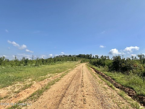 LAND - Mantee, MS