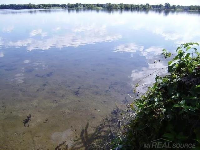 Picture 8