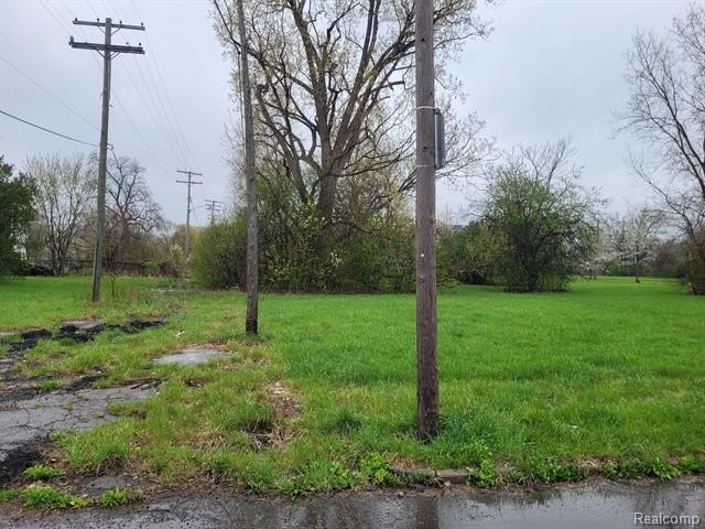 Picture 2