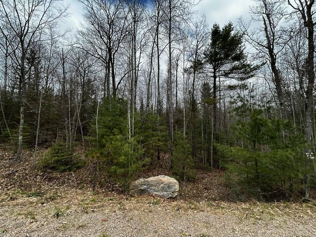 Eagle River Land Parcel