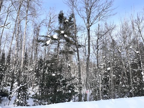 Eagle River Acreage Ready to Build