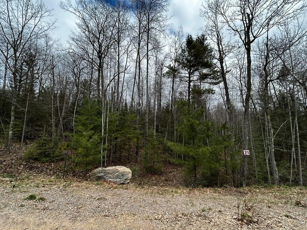 Picture 2