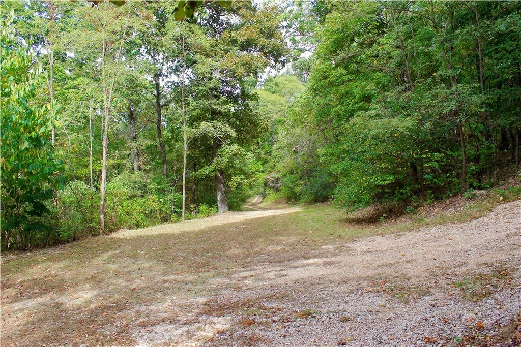Picture 17