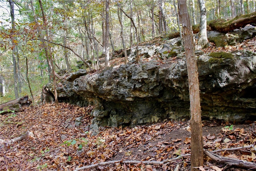 Picture 27