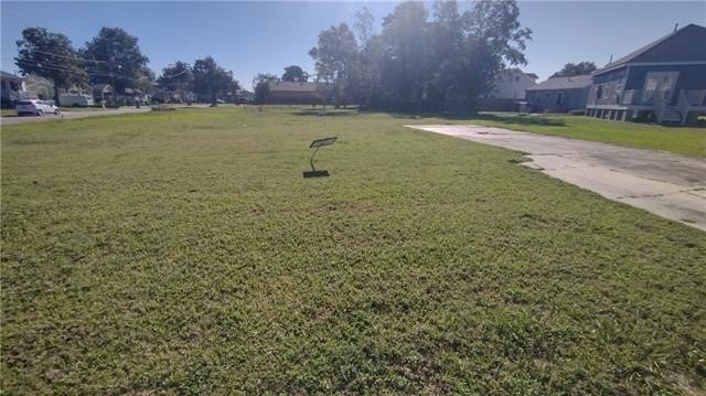 Picture 4