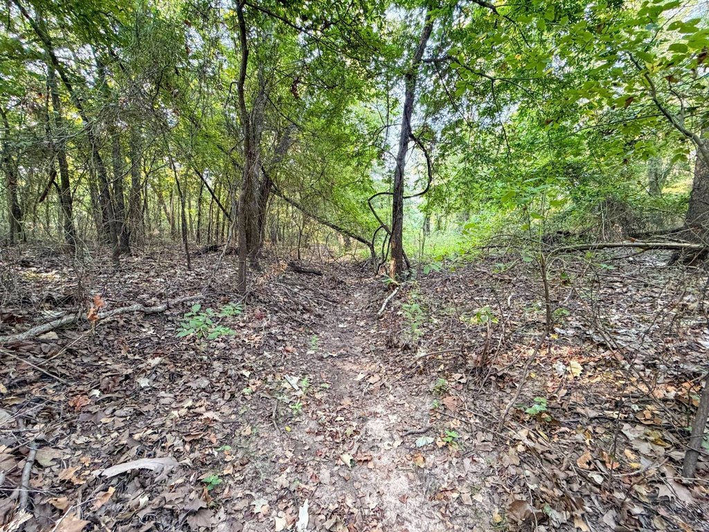 Picture 31