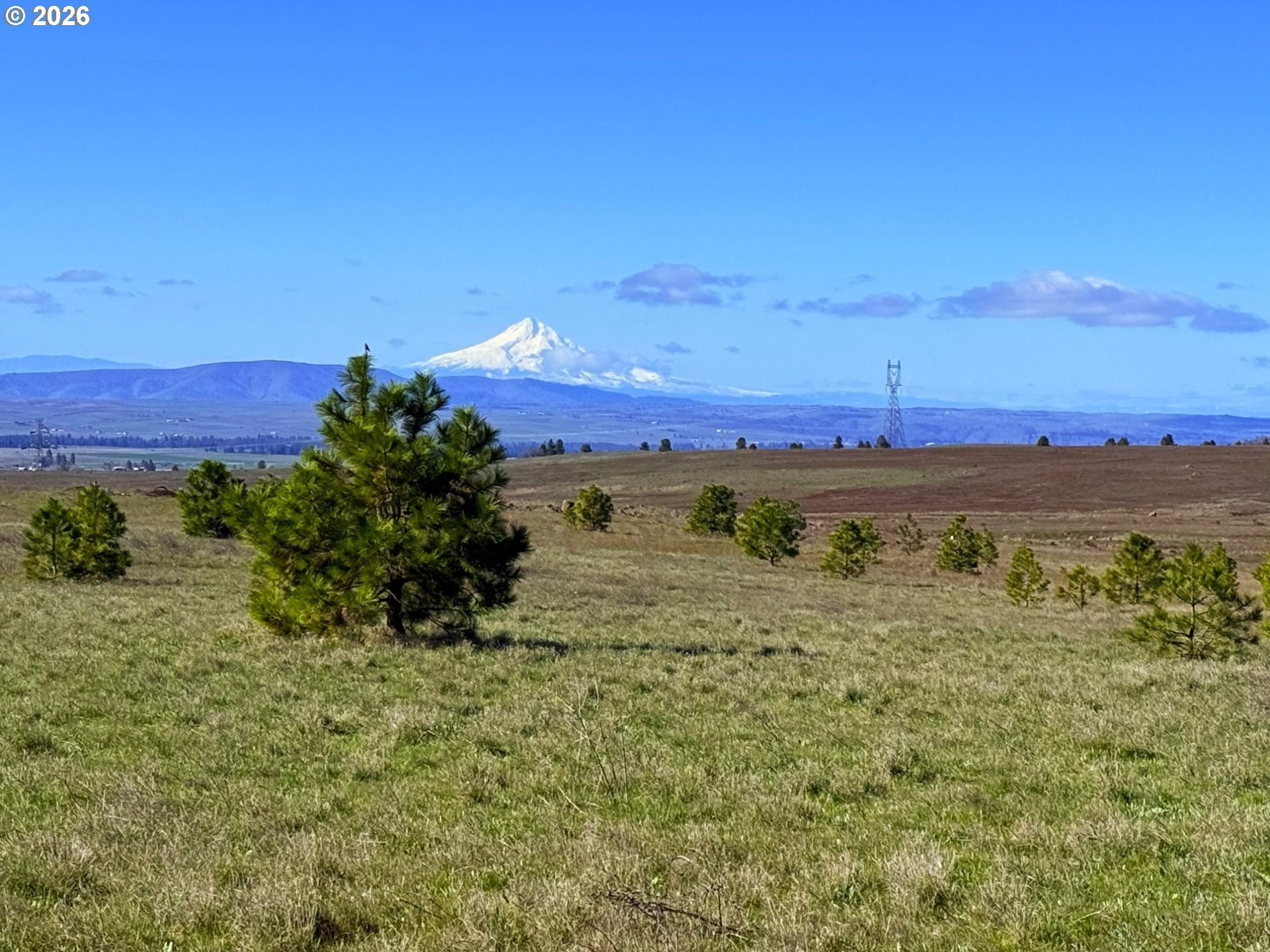 5-Acre Parcel with Mountain Views