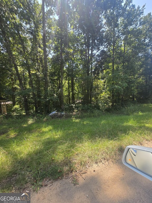 Picture 2