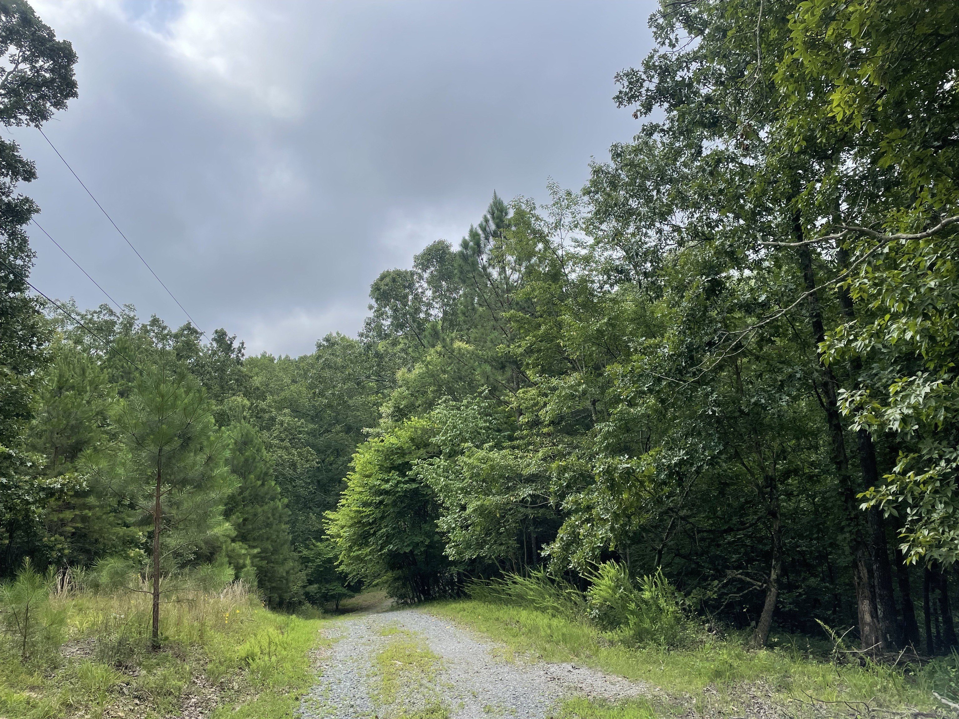 Secluded Lot in Ranger, Georgia