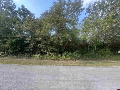 Golf Course Residential Lot