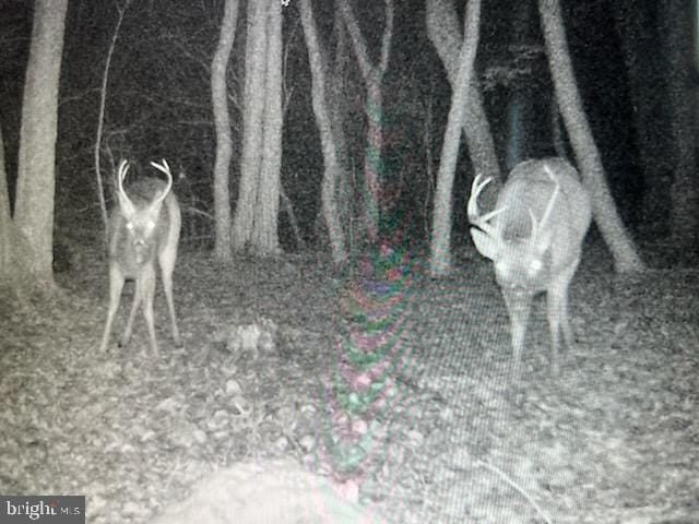Picture 8